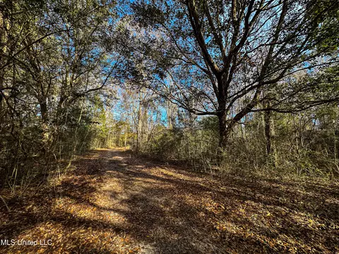 01 Dap Rd E, Moss Point, MS 39562 photo 40