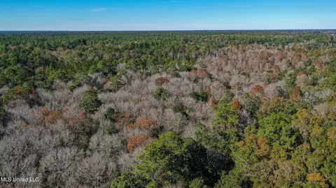 01 Dap Rd E, Moss Point, MS 39562 photo 30