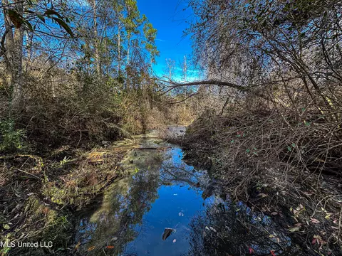 01 Dap Rd E, Moss Point, MS 39562 photo 35