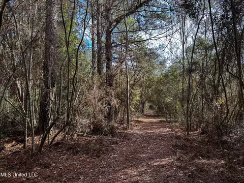 01 Dap Rd E, Moss Point, MS 39562 photo 46