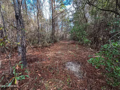 01 Dap Rd E, Moss Point, MS 39562 photo 33