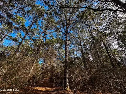 01 Dap Rd E, Moss Point, MS 39562 photo 48