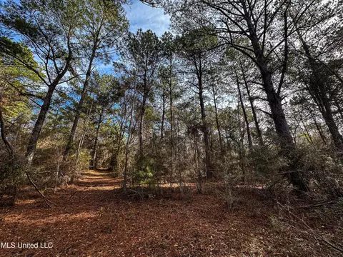 01 Dap Rd E, Moss Point, MS 39562 photo 17