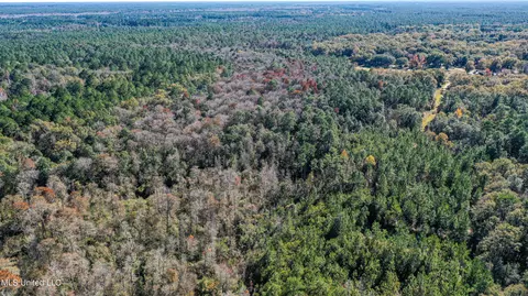 01 Dap Rd E, Moss Point, MS 39562 photo 10