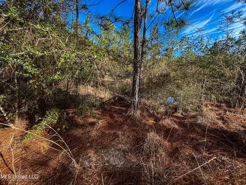 01 Dap Rd E, Moss Point, MS 39562 photo 31