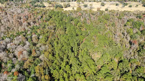 01 Dap Rd E, Moss Point, MS 39562 photo 18