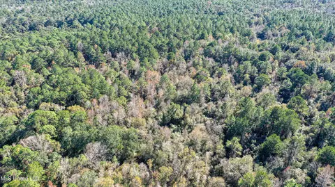 01 Dap Rd E, Moss Point, MS 39562 photo 16