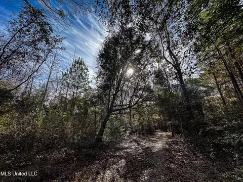 01 Dap Rd E, Moss Point, MS 39562 photo 42