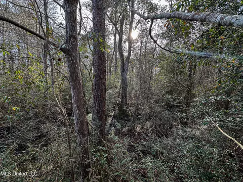 01 Dap Rd E, Moss Point, MS 39562 photo 34