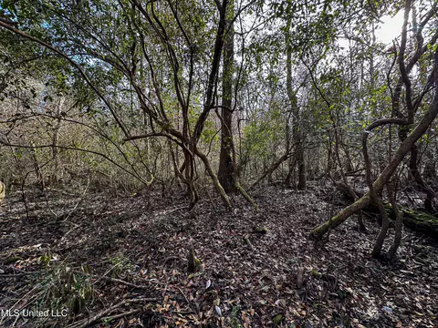 01 Dap Rd E, Moss Point, MS 39562 photo 36