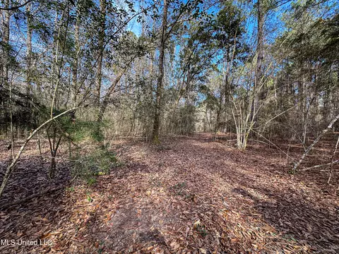 01 Dap Rd E, Moss Point, MS 39562 photo 49