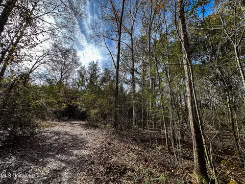 01 Dap Rd E, Moss Point, MS 39562 photo 41