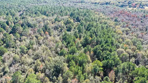 01 Dap Rd E, Moss Point, MS 39562 photo 14