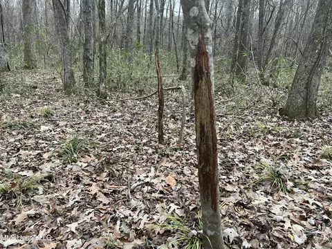 873 Pocahontas Rd, Flora, MS 39071 photo 15