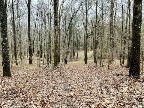 873 Pocahontas Rd, Flora, MS 39071 photo 27