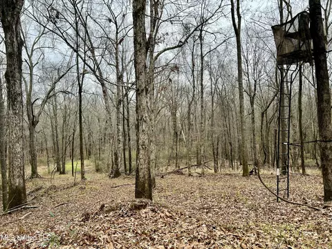 873 Pocahontas Rd, Flora, MS 39071 photo 10