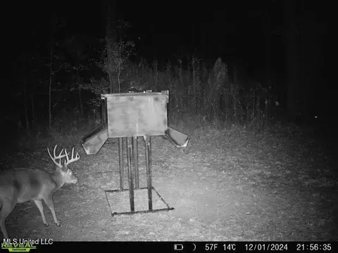 873 Pocahontas Rd, Flora, MS 39071 photo 20