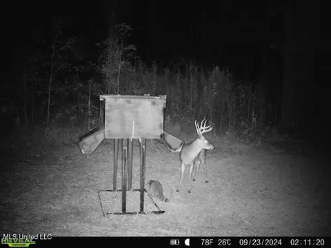 873 Pocahontas Rd, Flora, MS 39071 photo 21