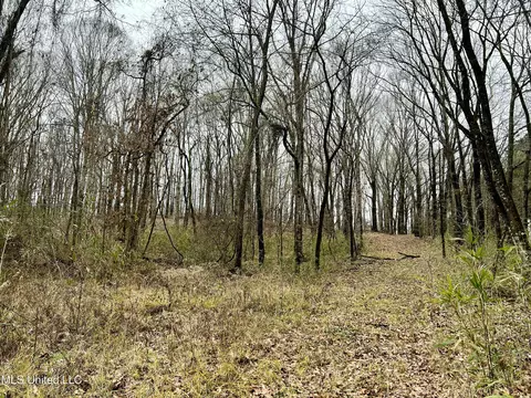 873 Pocahontas Rd, Flora, MS 39071 photo 25