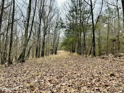 873 Pocahontas Rd, Flora, MS 39071 photo 29