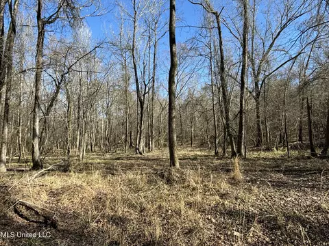 873 Pocahontas Rd, Flora, MS 39071 photo 17