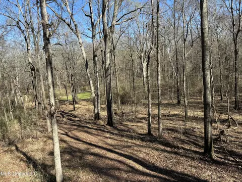 873 Pocahontas Rd, Flora, MS 39071 photo 18