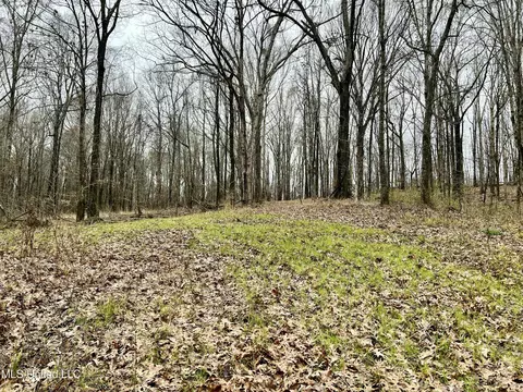 873 Pocahontas Rd, Flora, MS 39071 photo 3