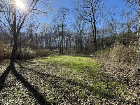873 Pocahontas Rd, Flora, MS 39071 photo 9