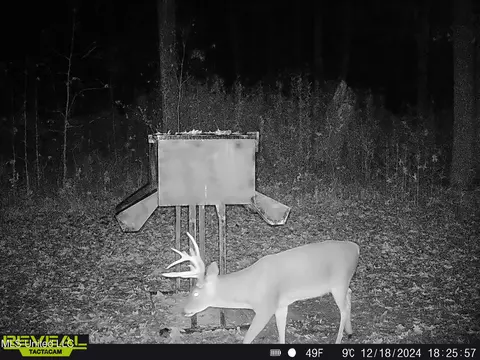 873 Pocahontas Rd, Flora, MS 39071 photo 6