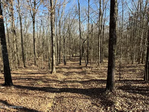 873 Pocahontas Rd, Flora, MS 39071 photo 2