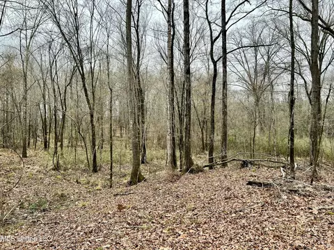 873 Pocahontas Rd, Flora, MS 39071 photo 24