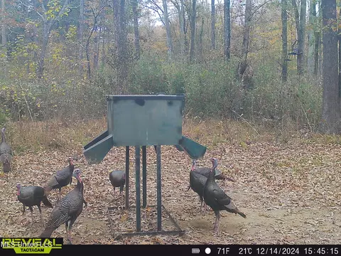 873 Pocahontas Rd, Flora, MS 39071 photo 19