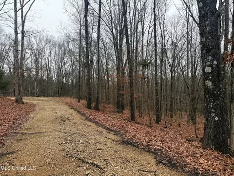 873 Pocahontas Rd, Flora, MS 39071 photo 13