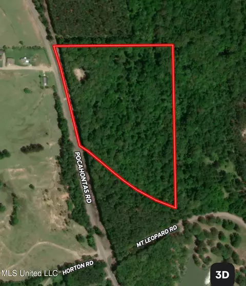 873 Pocahontas Rd, Flora, MS 39071 photo 34