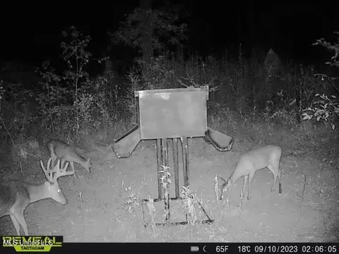 873 Pocahontas Rd, Flora, MS 39071 photo 33