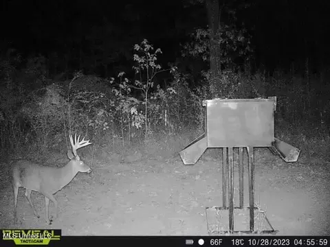 873 Pocahontas Rd, Flora, MS 39071 photo 8