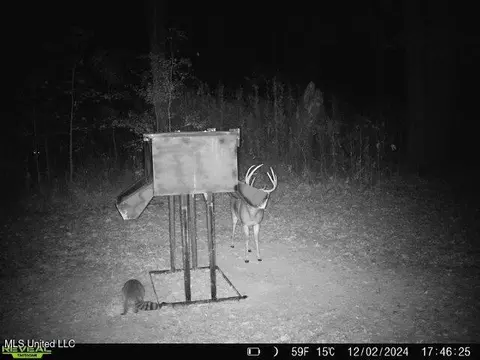 873 Pocahontas Rd, Flora, MS 39071 photo 11