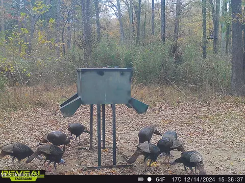 873 Pocahontas Rd, Flora, MS 39071 photo 7