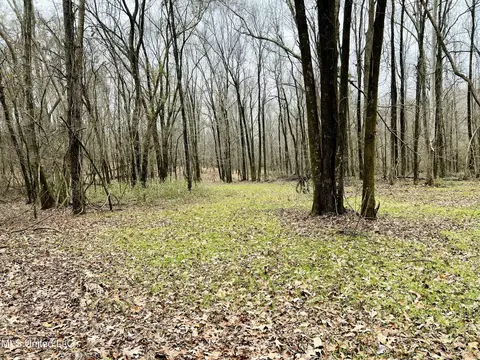 873 Pocahontas Rd, Flora, MS 39071 photo 22