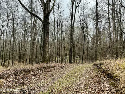 873 Pocahontas Rd, Flora, MS 39071 photo 16