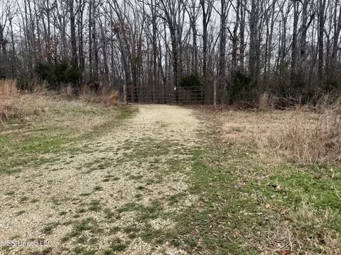 873 Pocahontas Rd, Flora, MS 39071 photo 32
