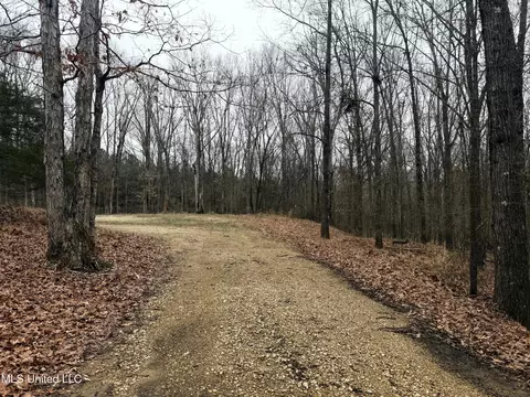 873 Pocahontas Rd, Flora, MS 39071 photo 14