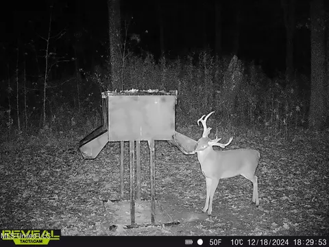 873 Pocahontas Rd, Flora, MS 39071 photo 4