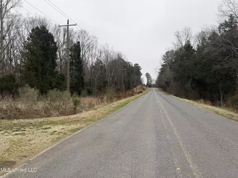 873 Pocahontas Rd, Flora, MS 39071 photo 31