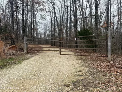 873 Pocahontas Rd, Flora, MS 39071 photo 12