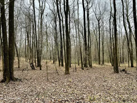 873 Pocahontas Rd, Flora, MS 39071 photo 28