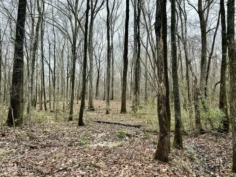 873 Pocahontas Rd, Flora, MS 39071 photo 30