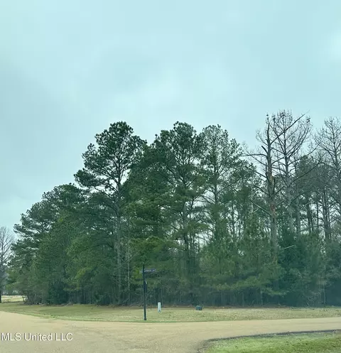 lot49 Livingston Dr, Madison, MS 39110