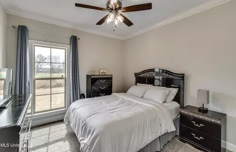 894 Glenwild Cir, Canton, MS 39046 photo 37