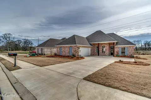 894 Glenwild Cir, Canton, MS 39046 photo 3